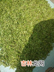 树下面刷白漆是干什么用的,树下为什么要涂白漆