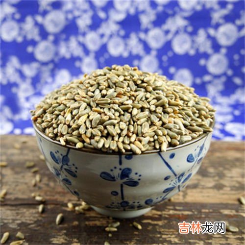 大麦的用途有哪些,大麦的功效与作用及营养价值