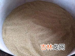 大麦的用途有哪些,大麦的功效与作用及营养价值