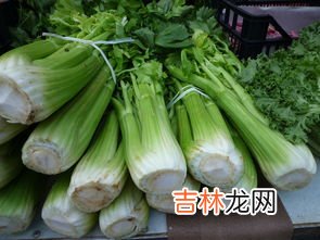 药芹与芹菜的区别有哪些,药芹与芹菜的区别