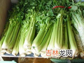 药芹与芹菜的区别有哪些,药芹与芹菜的区别