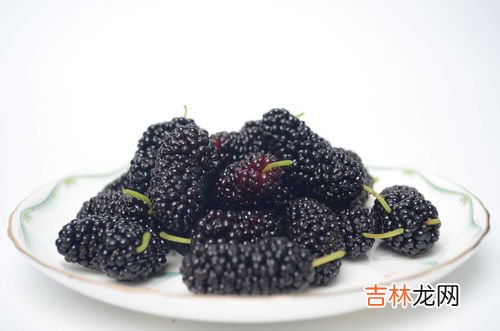 桑葚长毛了还能吃吗,桑葚上在冰箱内天就长放了一白色的毛毛,请问还能吃吗?