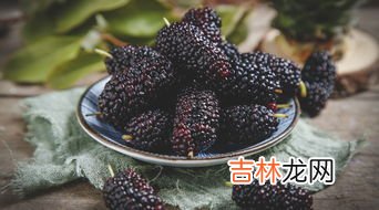 桑葚长毛了还能吃吗,桑葚上在冰箱内天就长放了一白色的毛毛,请问还能吃吗?