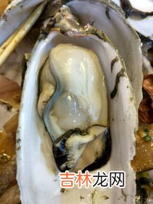 生蚝怎么做好吃,生蚝怎么做好吃又简单家常的