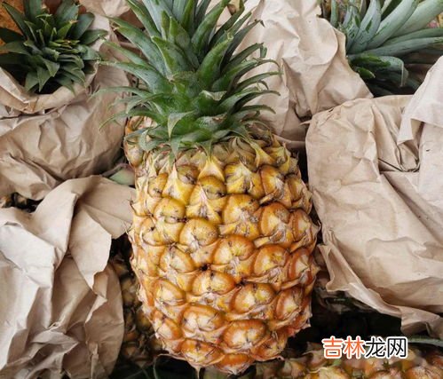 菠萝为什么要用盐水泡多久可以,菠萝要用盐水泡多久