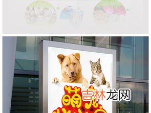 宠物生活馆主要是干什么的,宠物店服务项目都有什么