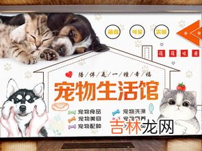 宠物生活馆主要是干什么的,宠物店服务项目都有什么