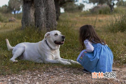 宠物生活馆主要是干什么的,宠物店服务项目都有什么