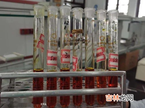 总糖含量的测定,食品中总糖含量的测定是什么？