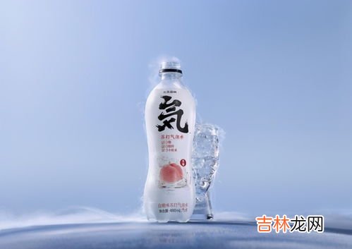 元气森林苏打水好吗,买苏打水什么牌子好