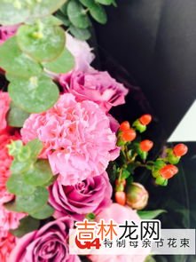 什么花的花语代表的是友谊,什么花的花语是友谊？