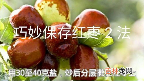 生枣怎么存放,鲜枣怎么保存？鲜枣怎么保存时间长？