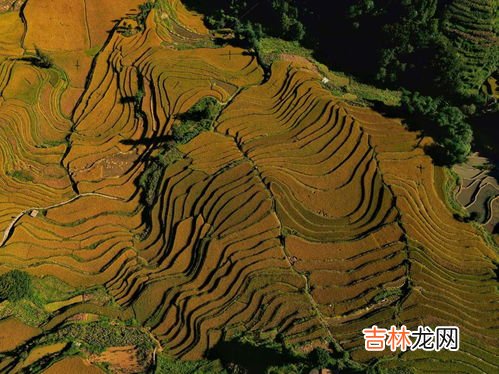 红河梯田是世界文化遗产吗,红河遗产文化有哪些