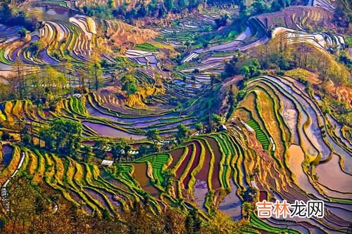 红河梯田是世界文化遗产吗,红河遗产文化有哪些