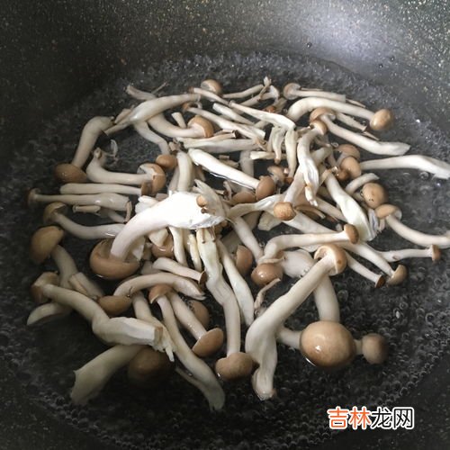 蟹味菇不焯水会有毒吗,海鲜菇不焯水可以吃吗?