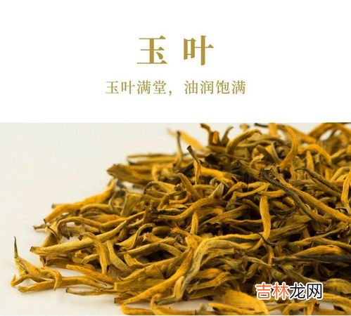 滇红品牌排行榜,中国十大红茶品牌有哪些