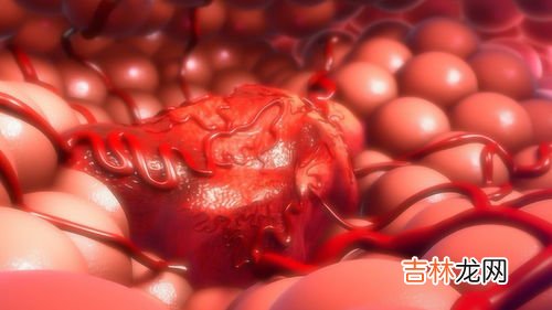 乳腺增生适合吃什么食物,乳腺增生吃什么食物比较好？
