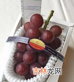 水果品牌排行榜前十名,水果店加盟10大品牌有哪些？