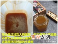 土蜂蜜价格,土蜂蜜一斤200元贵吗