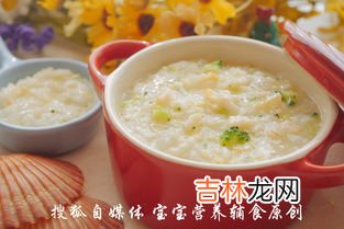 扇贝怎么做粥,扇贝鸡肉粥做法