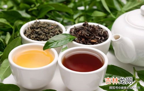 肉桂茶属于发酵茶吗,肉桂属于哪种茶