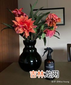 室内香薰品牌排行榜,室内香薰哪个牌子好