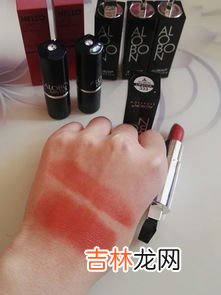 雅邦黑管哪个适合黄皮素颜,雅邦化妆品好吗?雅邦化妆品怎么样?