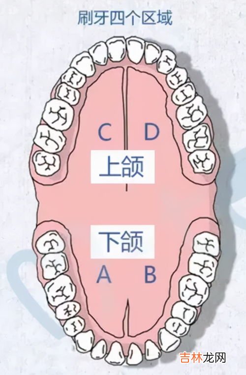 洗耳球的正确使用方法,吸量管的使用方法