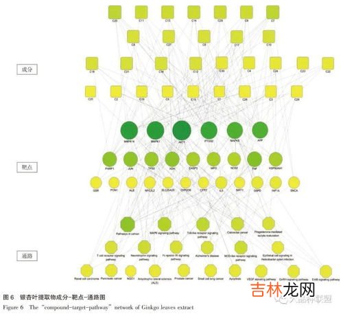 银杏叶提取物的功效与作用,银杏叶提取物片有副作用吗？银杏叶提取物片的功效