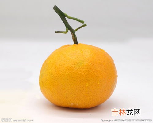 粑粑柑的热量,耙耙柑热量是多少？