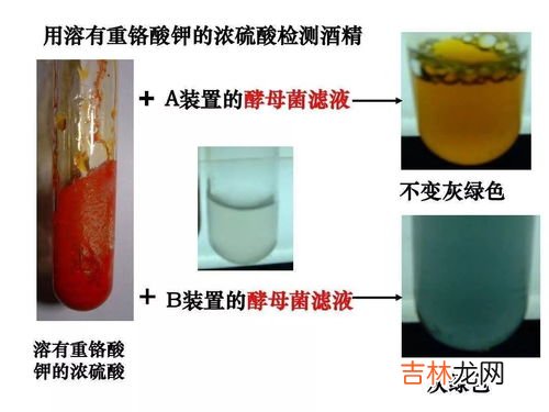 石灰水属于酸性还是碱性,石灰水是碱吗？