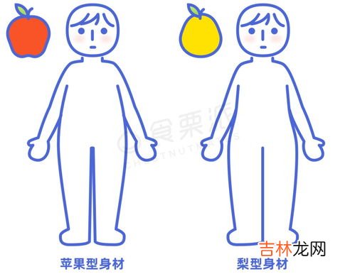 腰围怎么量,腰围是怎么量的