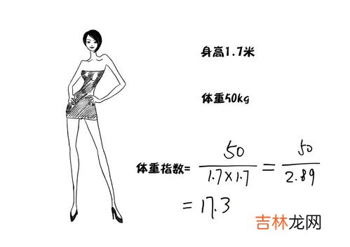 腰围怎么量,腰围是怎么量的