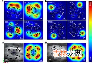 分子和原子的区别,分子和原子的区别是什么