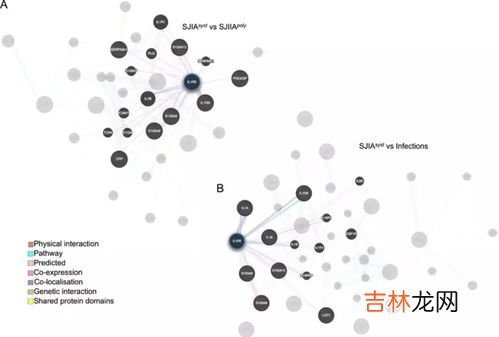 分子和原子的区别,分子和原子的区别是什么