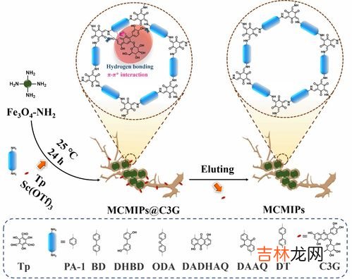 分子和原子的区别,分子和原子的区别是什么