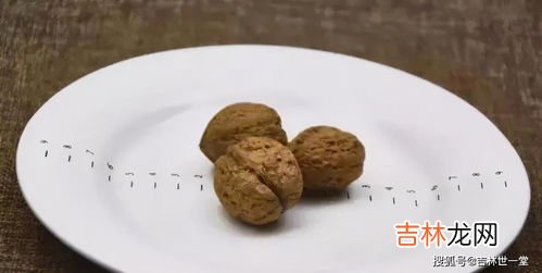 核桃热量,一个核桃的热量