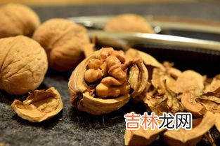 核桃热量,一个核桃的热量