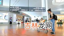 cip旅客指的是什么意思,飞机上的&quot;重要旅客&quot;是哪类人呢?