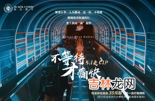 cip旅客指的是什么意思,飞机上的&quot;重要旅客&quot;是哪类人呢?