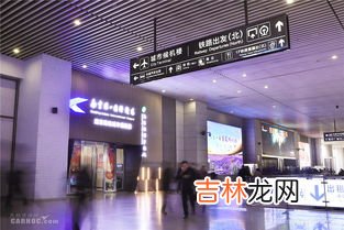 cip旅客指的是什么意思,飞机上的&quot;重要旅客&quot;是哪类人呢?