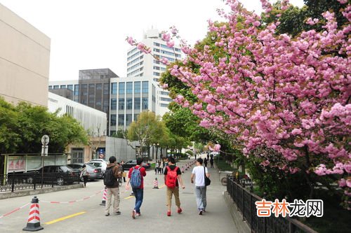 上海东华大学是985还是211,东华大学是985还是211