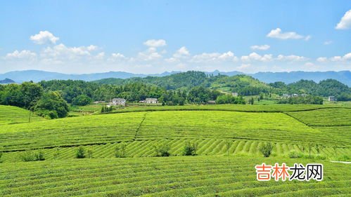 云贵高原海拔多少米,云贵高原有多高
