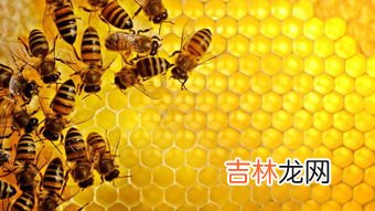 百花牌蜂胶液有什么作用,蜂胶的作用与功效吃法有哪些？