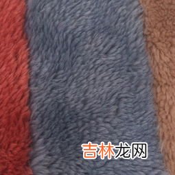 什么是wool面料啊,100%wool是什么面料