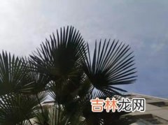 十年树木下一句是什么,十年树木，百年树人。下一句是什么？