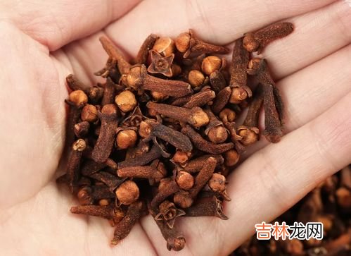 公丁香与母丁香的区别,丁香为何有公母之分，区别在哪里