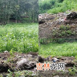 中国普通小溪能淘金吗,个人在河里淘金犯法吗