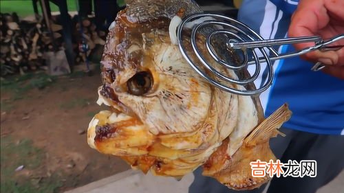 食人鱼能吃吗,食人鱼能吃吗