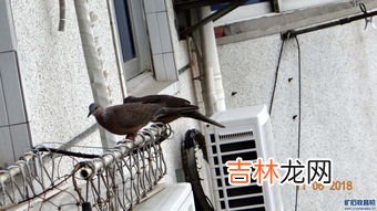 下雨开空调对外机有影响吗,下雨时开空调对空调有影响吗